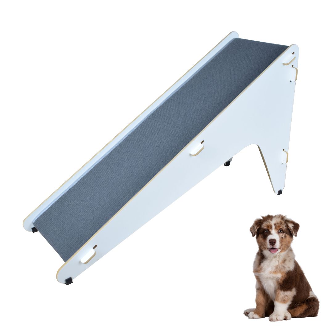 Rampa Escada Modelo Barcelona