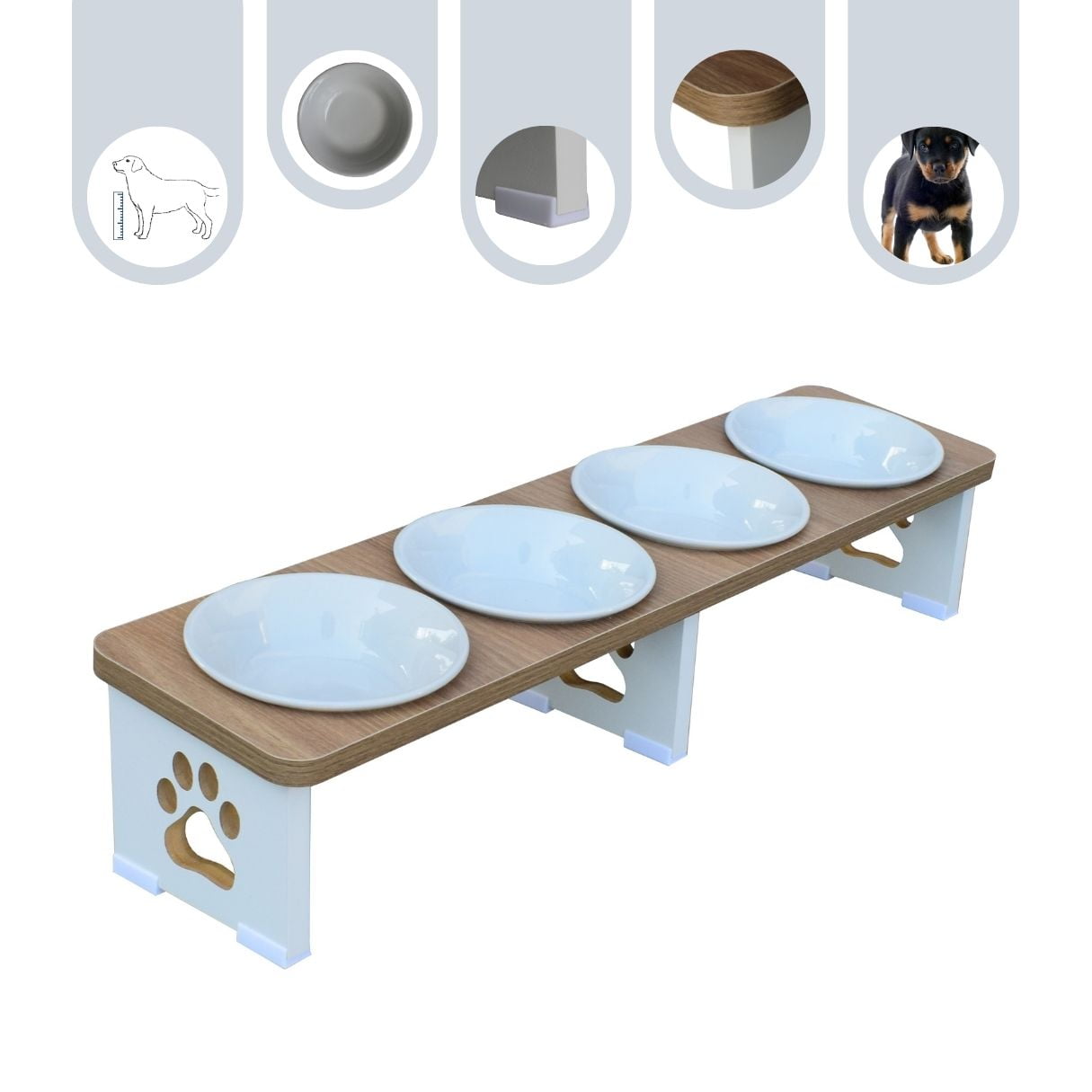 Comedouro Quadruplo Linear Cachorro