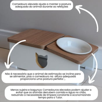 Base Comedouro Hibrido Gato