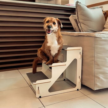 Escada Rampa Modelo Madrid