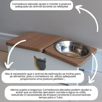 Base Comedouro Hibrido Gato