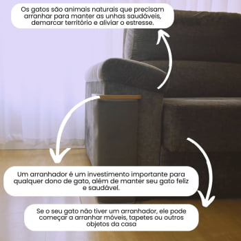 Arranhador Canto de Sofá Gato modelo Carpete