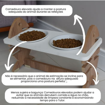 Comedouro Duplo Gato Espinha de Peixe