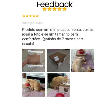 Comedouro Bebedouro Gato Base Elevado Pet MDF - Gato