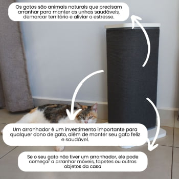 Arranhador Gato Canto de Sofá Carpet Felino PET