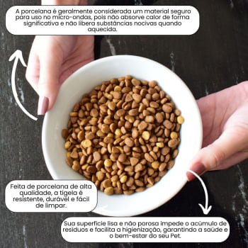 Tigela bowl Porcelana 350ml