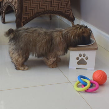 Comedouro Bebedouro Cachorro Elevado Pet Duplo MDF